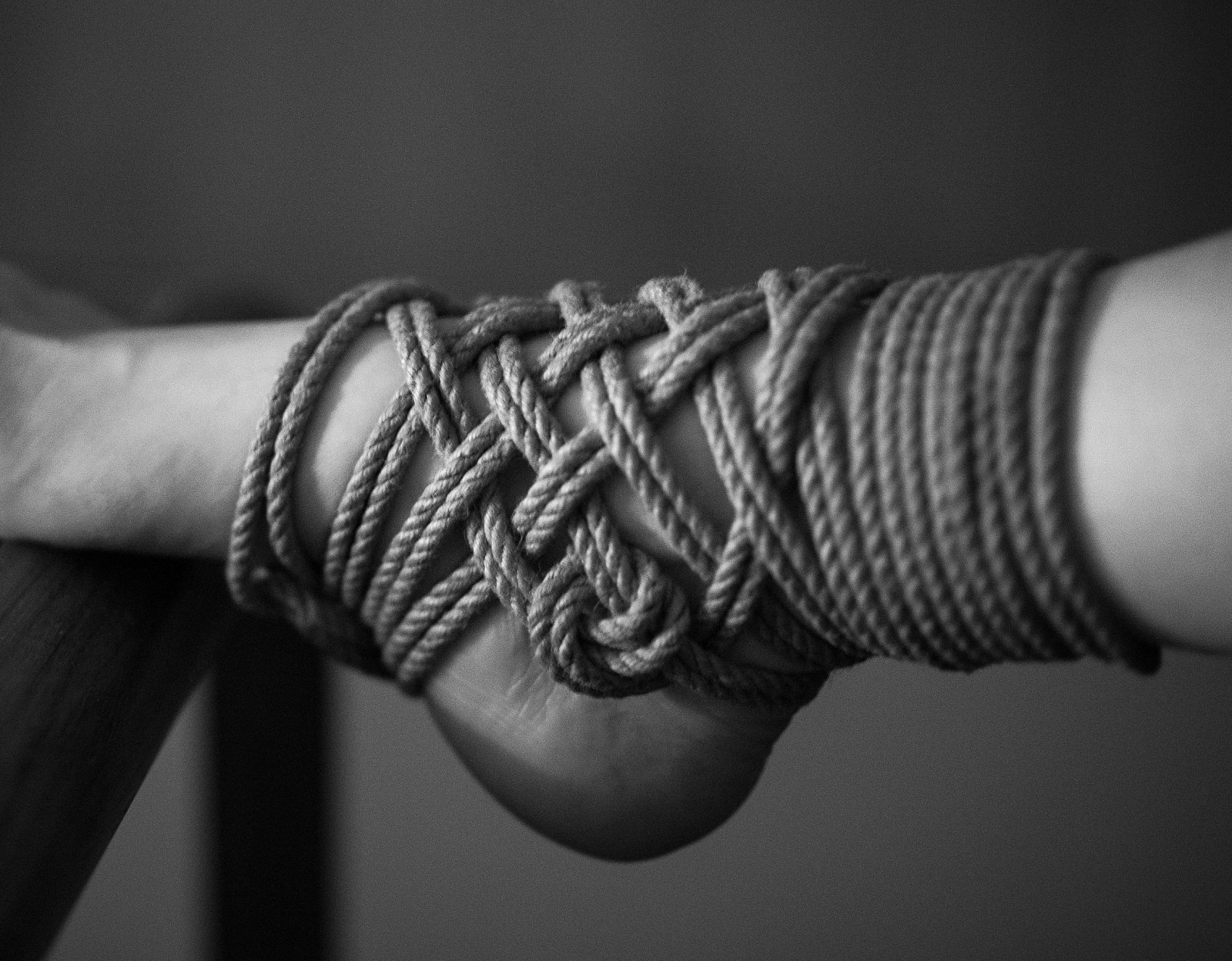 Shibari et kinbaku, l'art des cordes