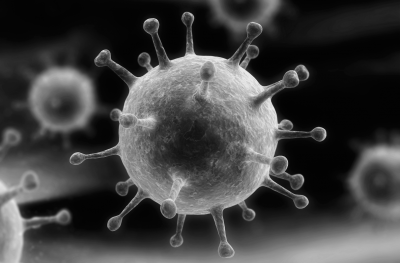 Virus papillomavirus homme